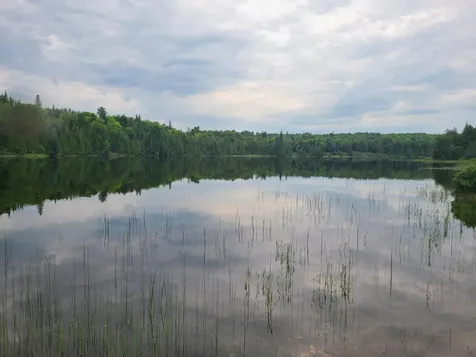 Lot 4 & 5 Russell Lake Road Linneus ME 04730