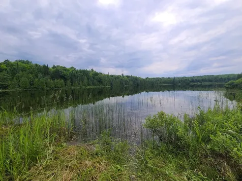 Lot 4 & 5 Russell Lake Road Linneus ME 04730