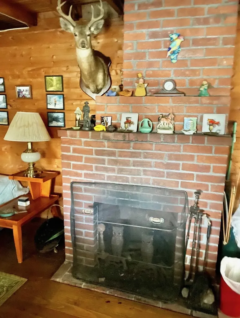 85 Tilton Point Trail Oakland ME 04963