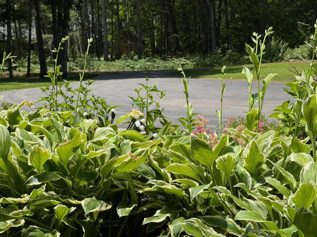 15 Porcupine Ridge Road Bremen ME 04551