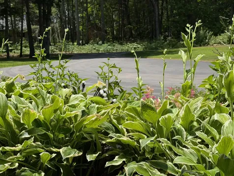 15 Porcupine Ridge Road Bremen ME 04551