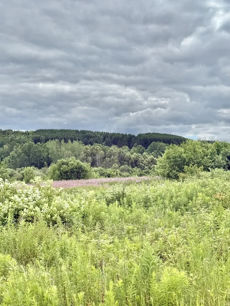 M4 L8 Conroy Road Perham ME 04766