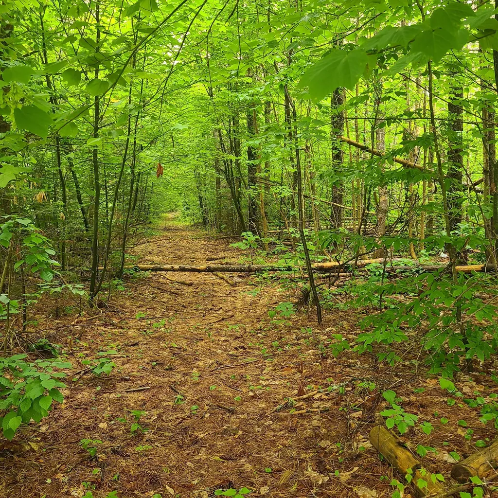 31 Flat Road Bethel ME 04217