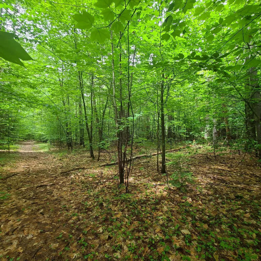31 Flat Road Bethel ME 04217