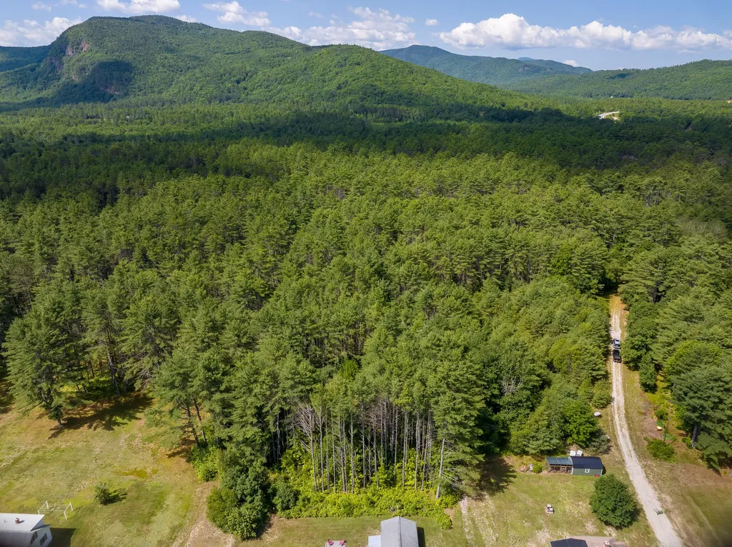 31 Flat Road Bethel ME 04217