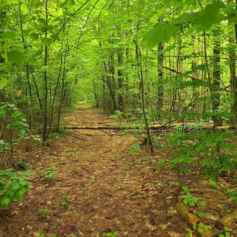 31 Flat Road Bethel ME 04217