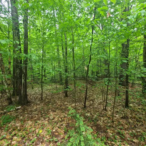 31 Flat Road Bethel ME 04217