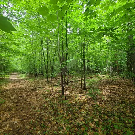 31 Flat Road Bethel ME 04217