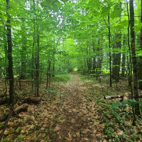 31 Flat Road Bethel ME 04217