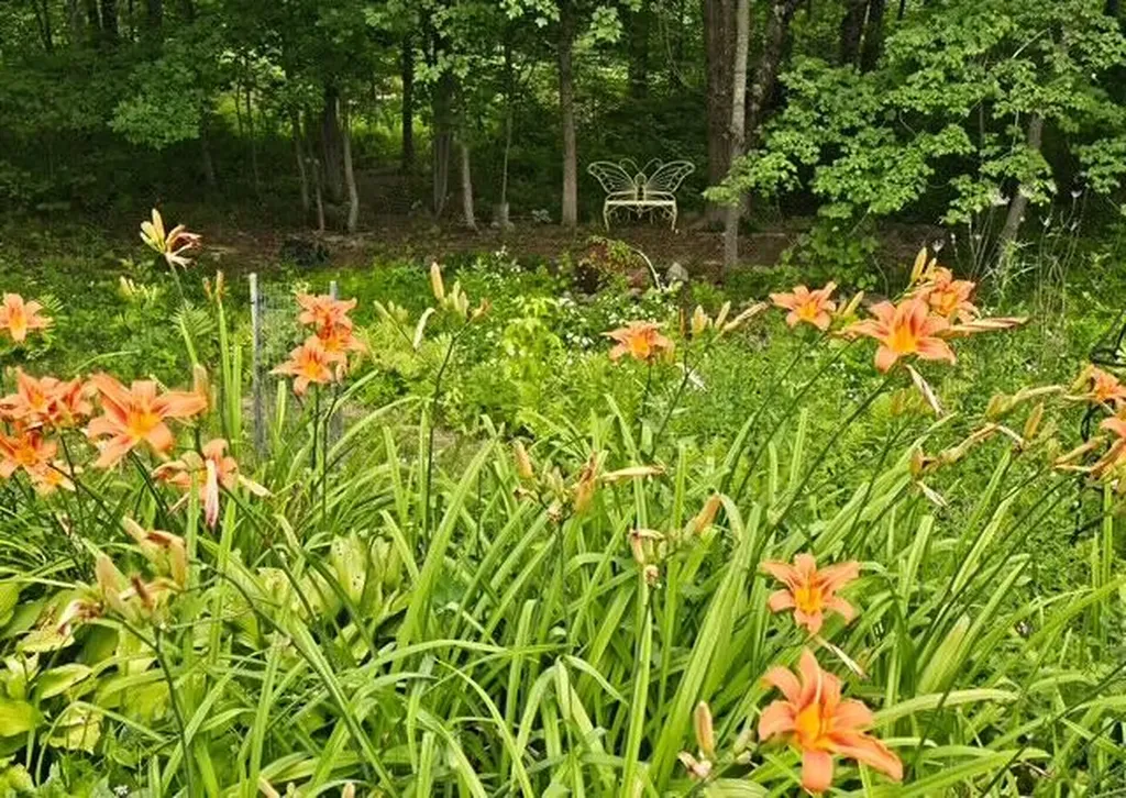 714 Mount Pisgah Road Winthrop ME 04364