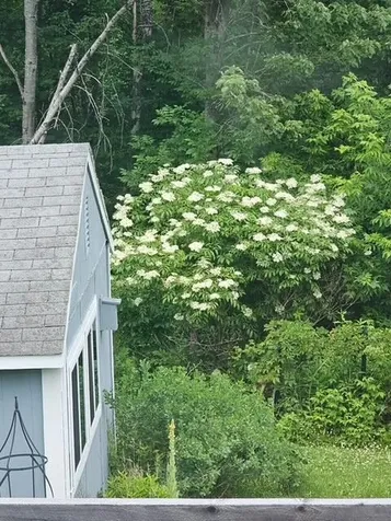 714 Mount Pisgah Road Winthrop ME 04364