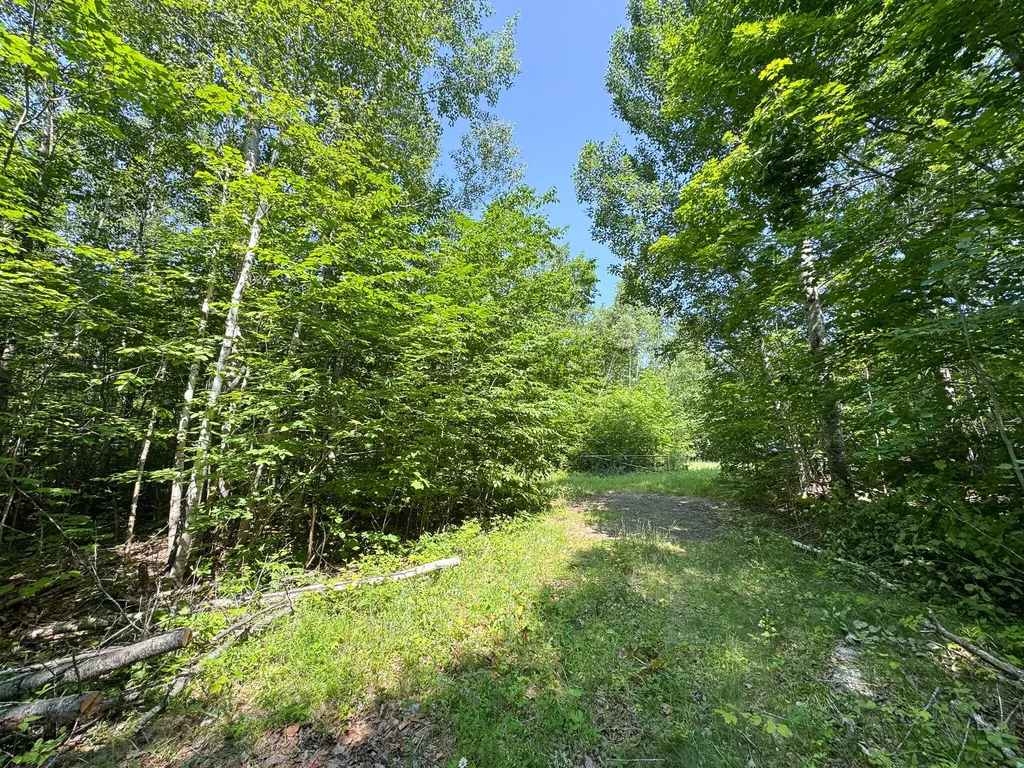 113 Town Hall Road Lakeville ME 04487