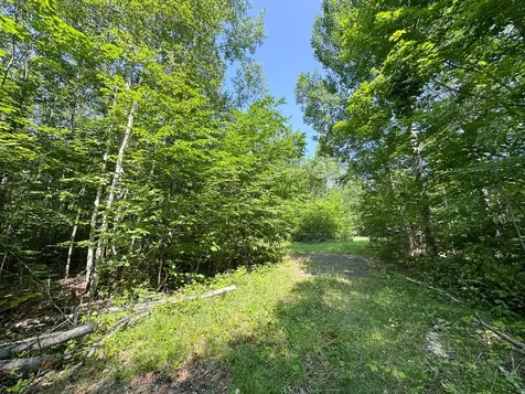 113 Town Hall Road Lakeville ME 04487