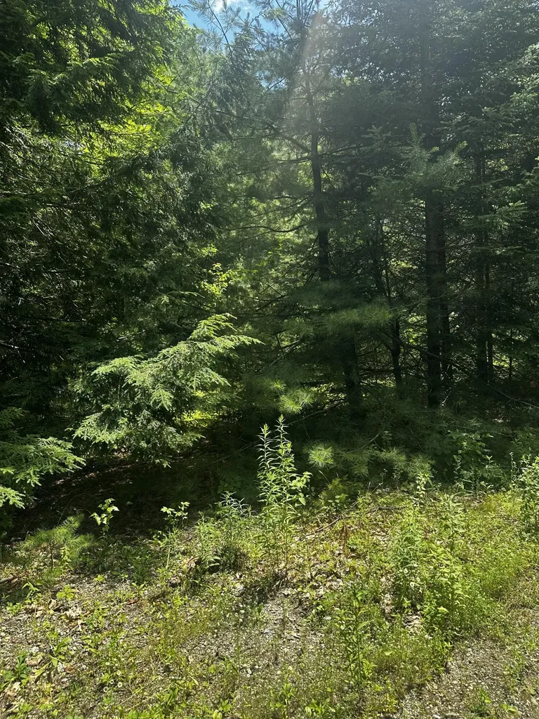 25 Cottage Lane Orland ME 04472