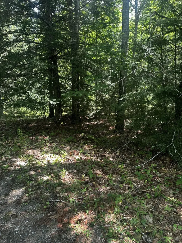 25 Cottage Lane Orland ME 04472