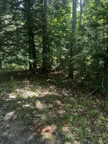 25 Cottage Lane Orland ME 04472