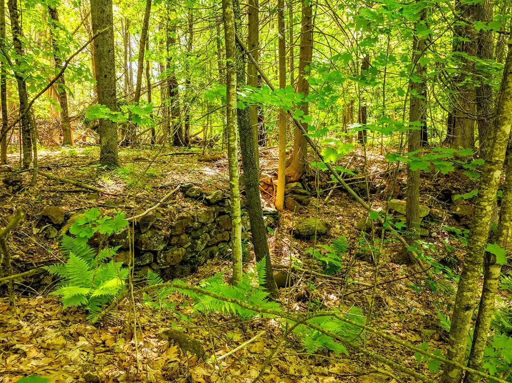 0 Narrows Road Lincolnville ME 04849