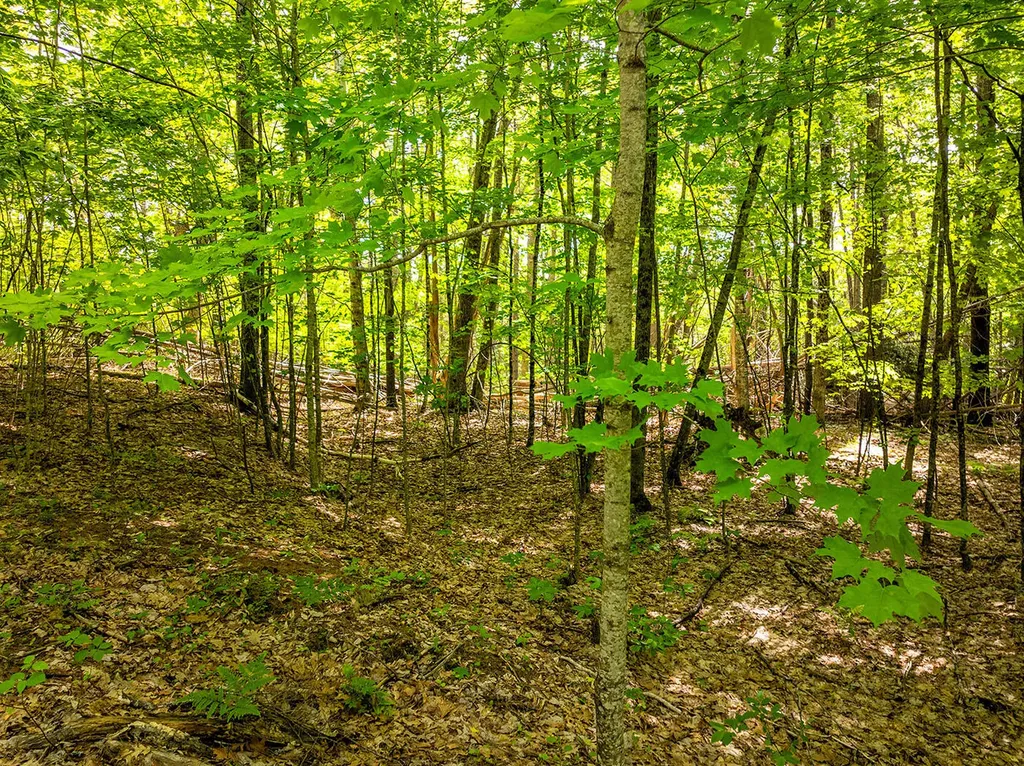 0 Narrows Road Lincolnville ME 04849