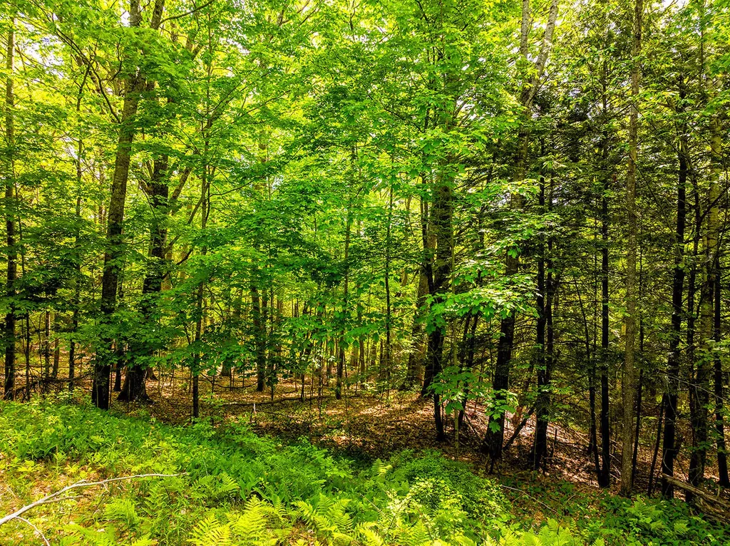 0 Narrows Road Lincolnville ME 04849