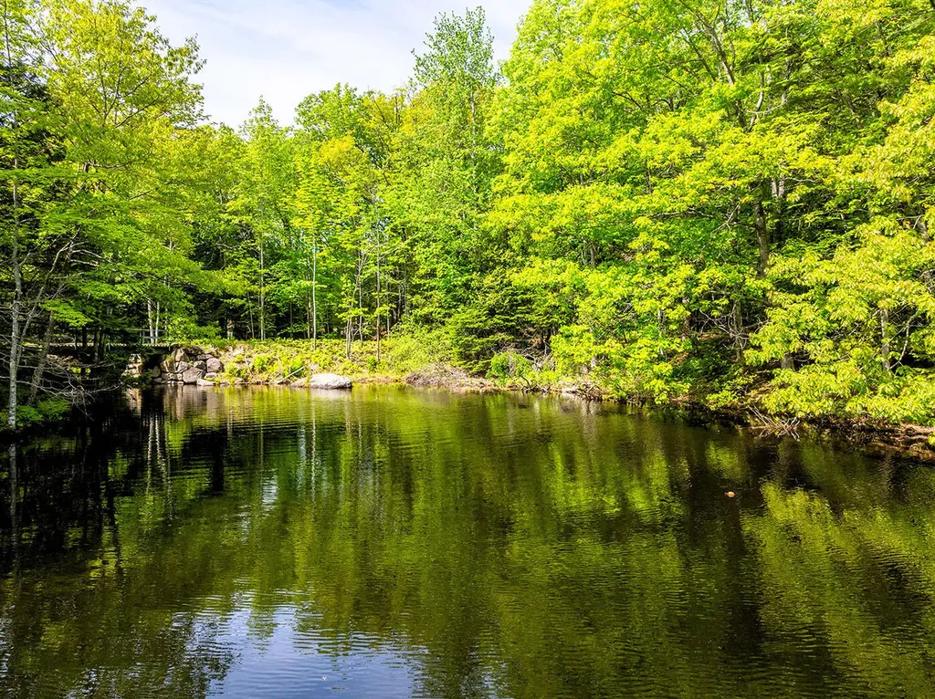 0 Narrows Road Lincolnville ME 04849