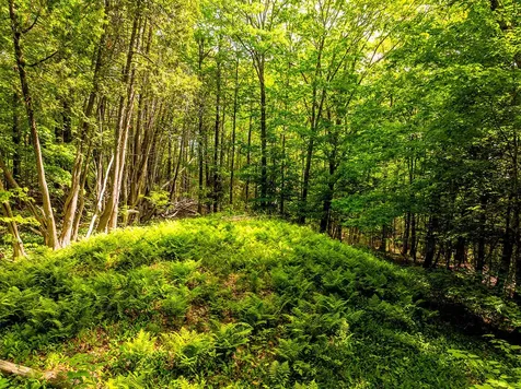 0 Narrows Road Lincolnville ME 04849