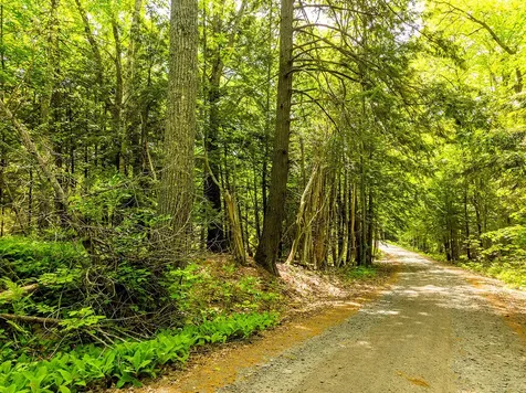 0 Narrows Road Lincolnville ME 04849