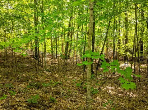 0 Narrows Road Lincolnville ME 04849
