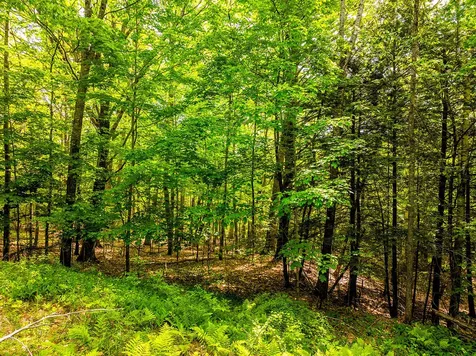 0 Narrows Road Lincolnville ME 04849