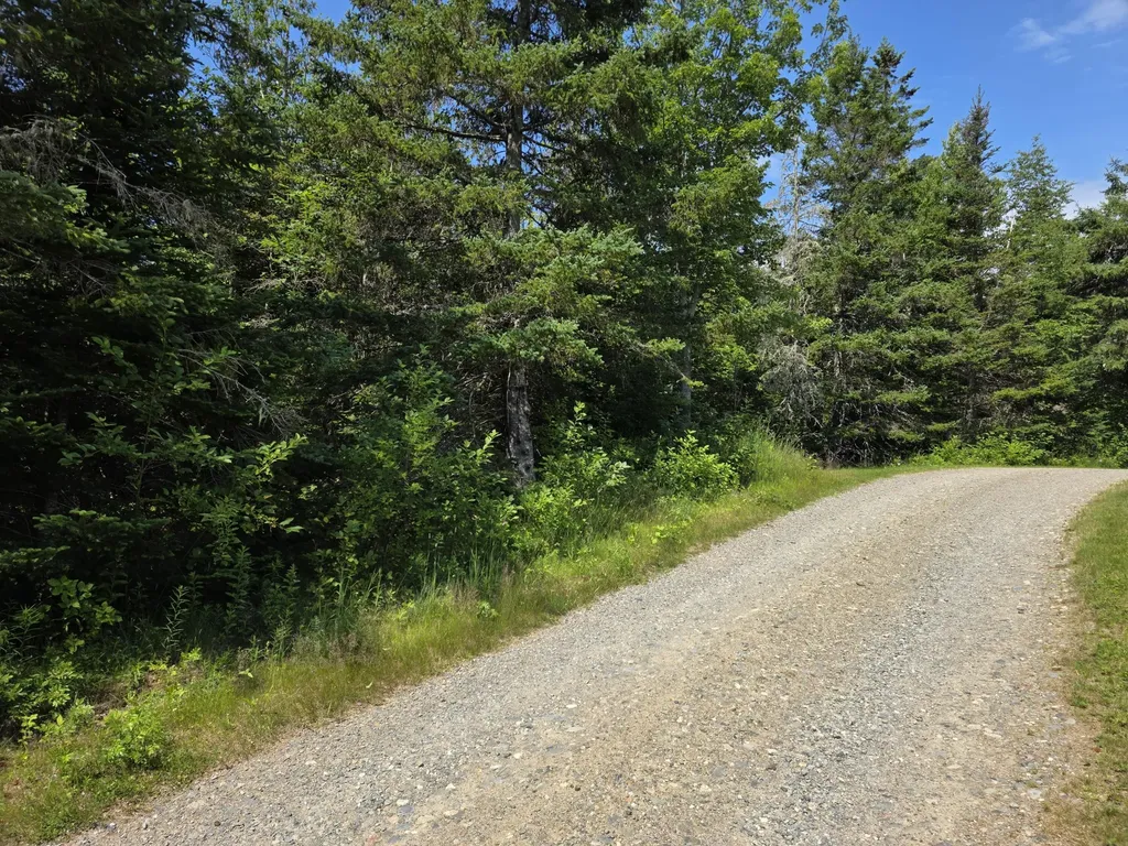 18 Leach Point Road Perry ME 04667