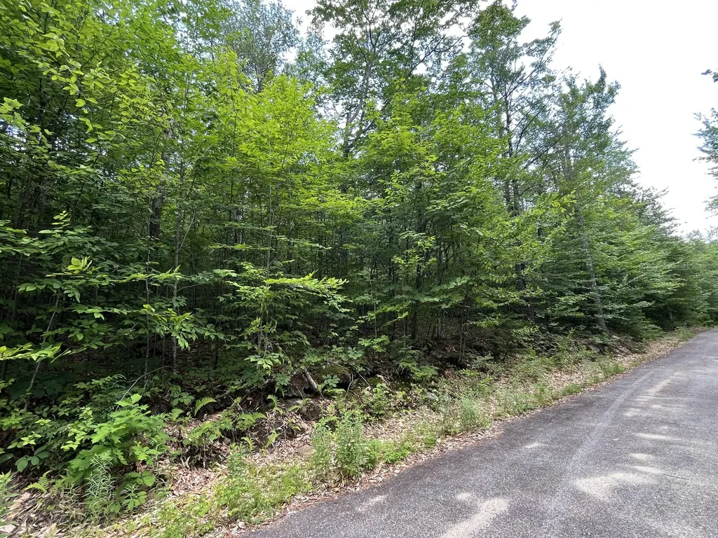 6 Mahoosuc Glen Newry ME 04261