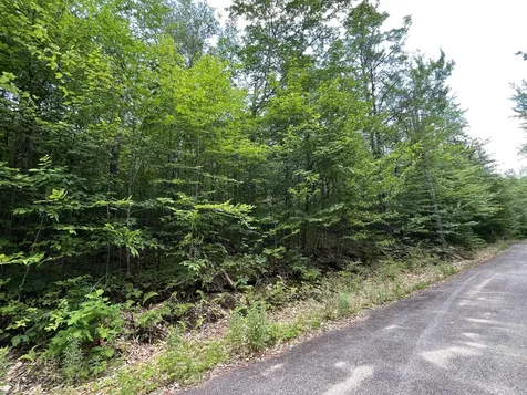 6 Mahoosuc Glen Newry ME 04261