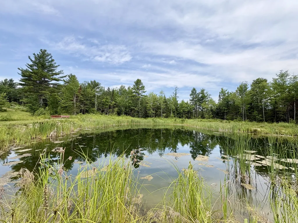 62 Old Keene Road Chester ME 04457