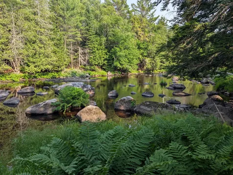 62 Old Keene Road Chester ME 04457