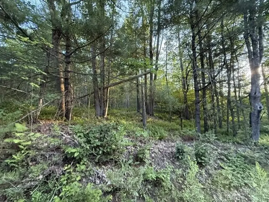 110 Calderwood Road Washington ME 04574