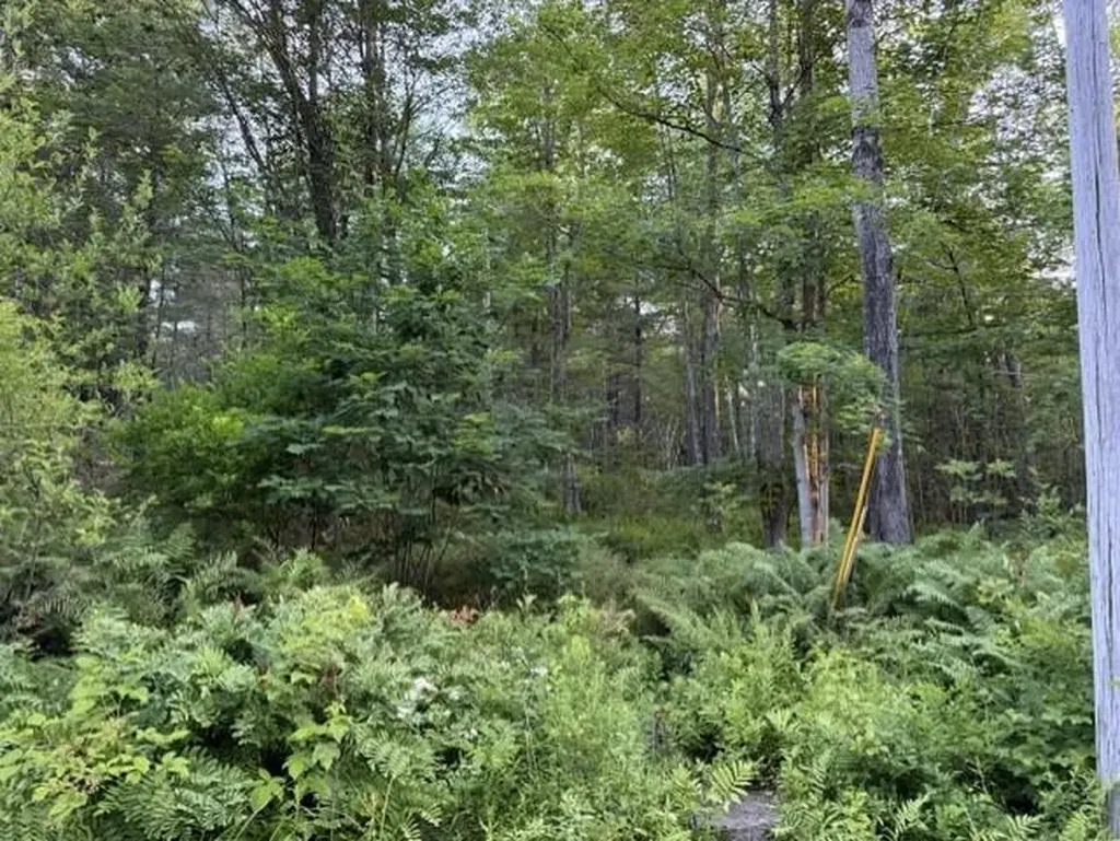 110 Calderwood Road Washington ME 04574