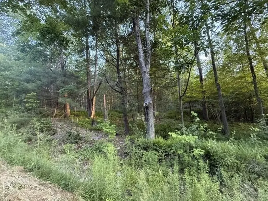 110 Calderwood Road Washington ME 04574