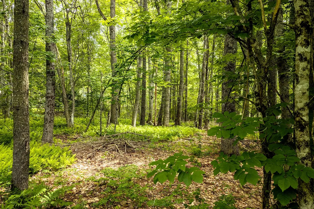 345 Buzzell Hill Road Hope ME 04847