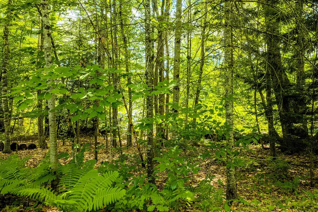 345 Buzzell Hill Road Hope ME 04847