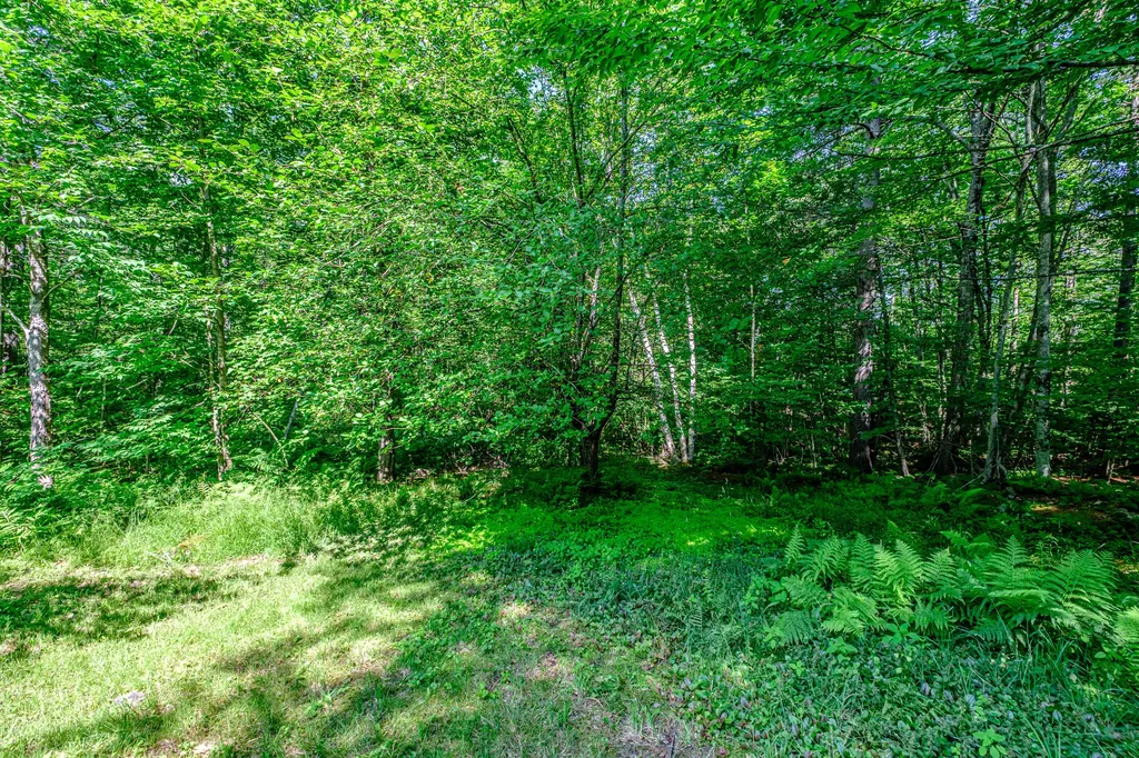 146 Demeritt Road Newfield ME 04095
