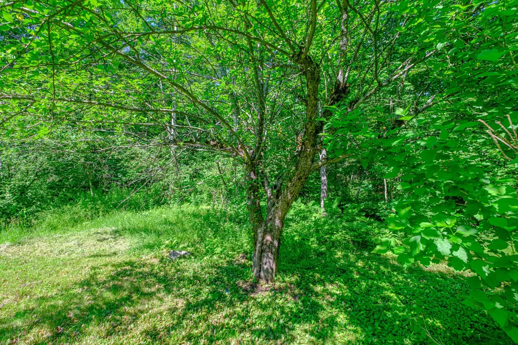 146 Demeritt Road Newfield ME 04095