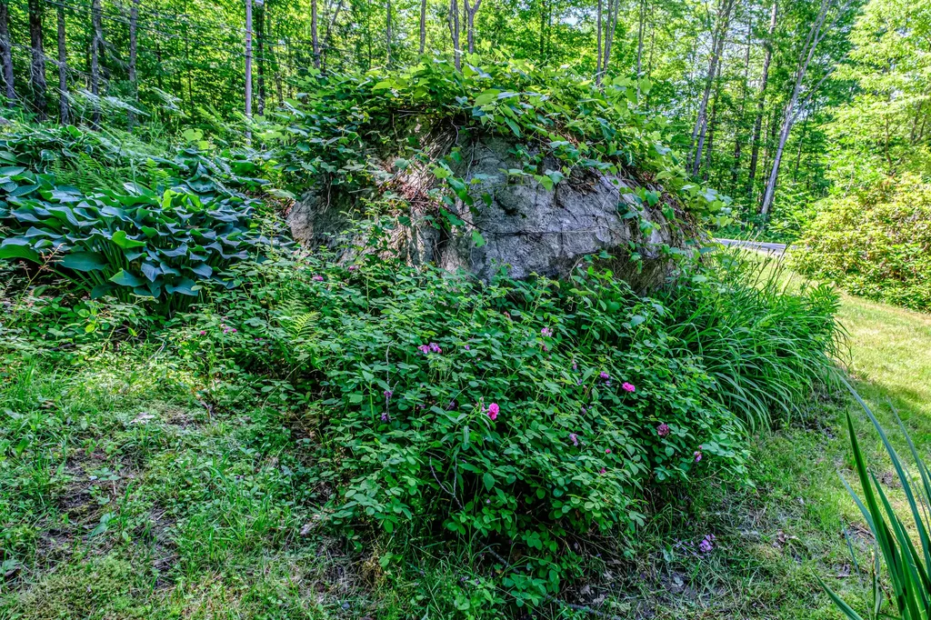 146 Demeritt Road Newfield ME 04095