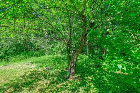 146 Demeritt Road Newfield ME 04095