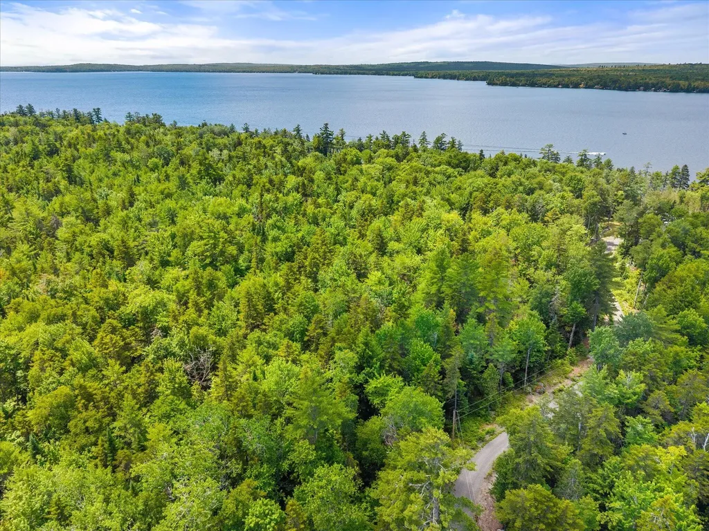 LOT#9A Railroad Bed Road Lake View Plt ME 04463