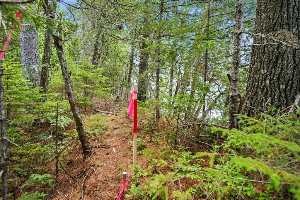 LOT#9A Railroad Bed Road Lake View Plt ME 04463