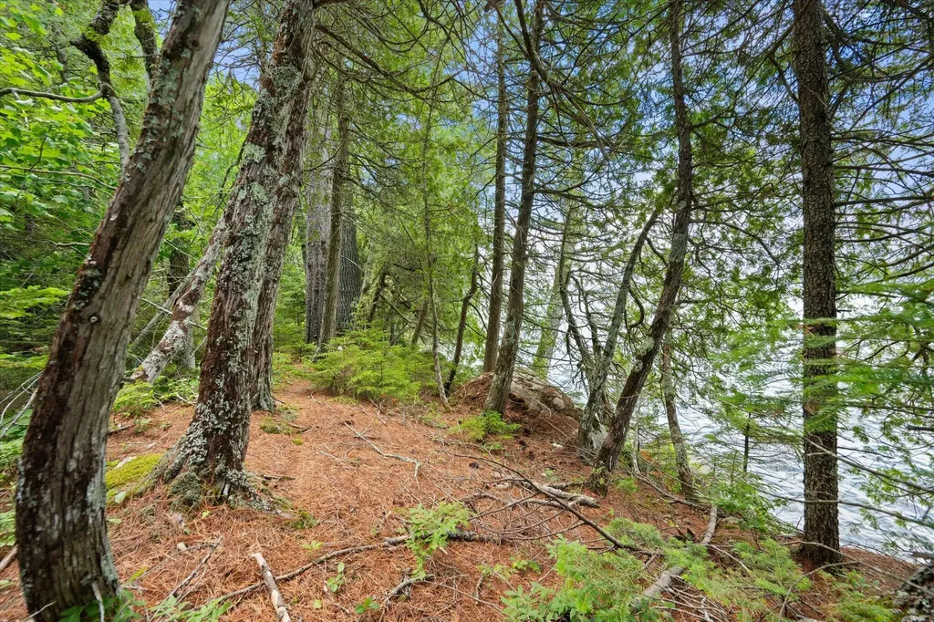 LOT#9A Railroad Bed Road Lake View Plt ME 04463