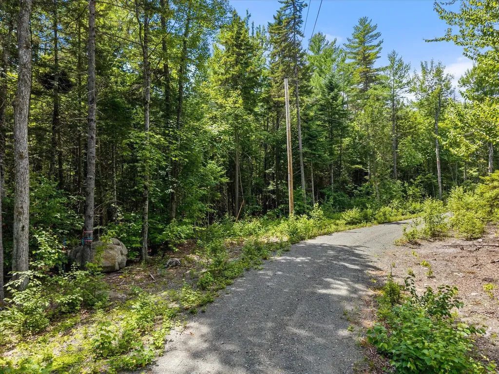 LOT#9A Railroad Bed Road Lake View Plt ME 04463