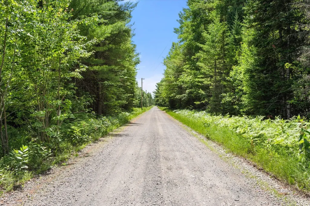 LOT#9A Railroad Bed Road Lake View Plt ME 04463