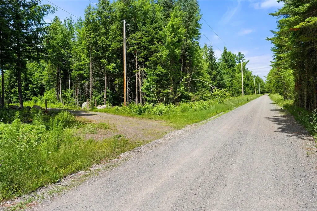 LOT#9A Railroad Bed Road Lake View Plt ME 04463