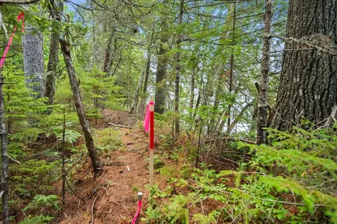 LOT#9A Railroad Bed Road Lake View Plt ME 04463