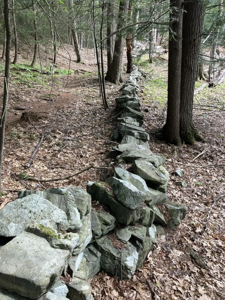 5 Davcarley Road Cape Elizabeth ME 04107